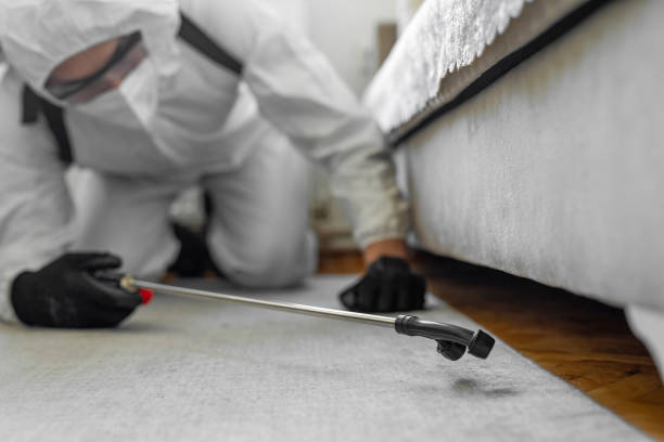 Professional Termite Control technician working in Brookfield, NJ